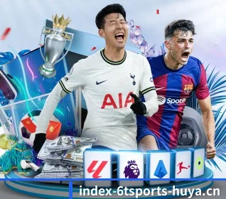6t体育 APP(6tsports)